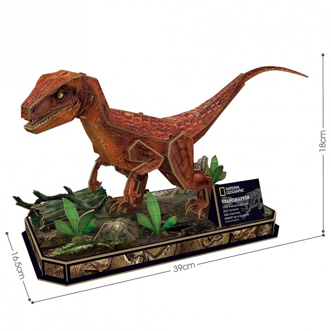 Puzzle 3D National Geographic - Velociraptor