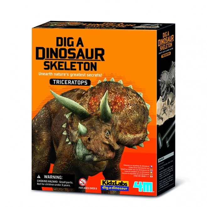 Scheletro di dinosauro - Triceratopo