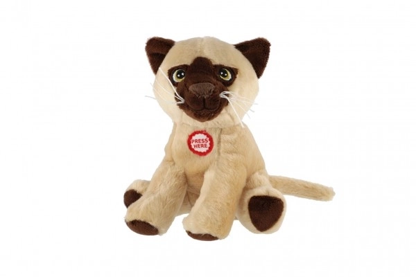 Gatto peluche seduto con suono