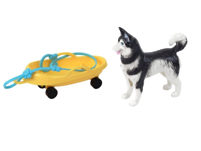 Cane Husky come fedele compagno