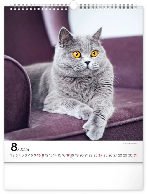 Calendario da parete Gatti 2025