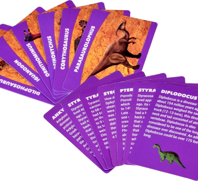 Imparare giocando con le carte informative