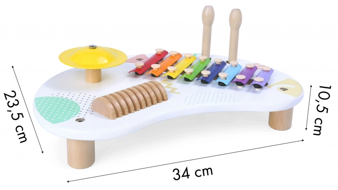 Tavolo musicale giocattolo con piatti ECOTOYS