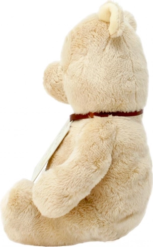 Peluche di Winnie the Pooh Arcobaleno