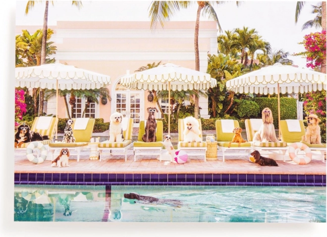 Puzzle Al Pool di Palm Beach 1000 pezzi