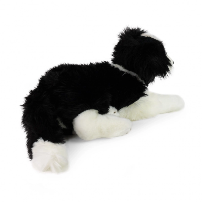 Cane di peluche Border Collie eco-friendly 45 cm