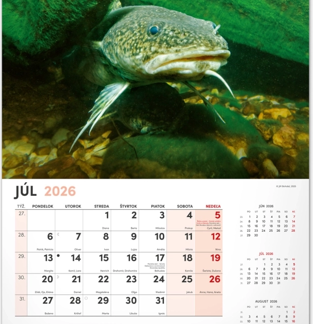 Calendario da parete di pesca 2026