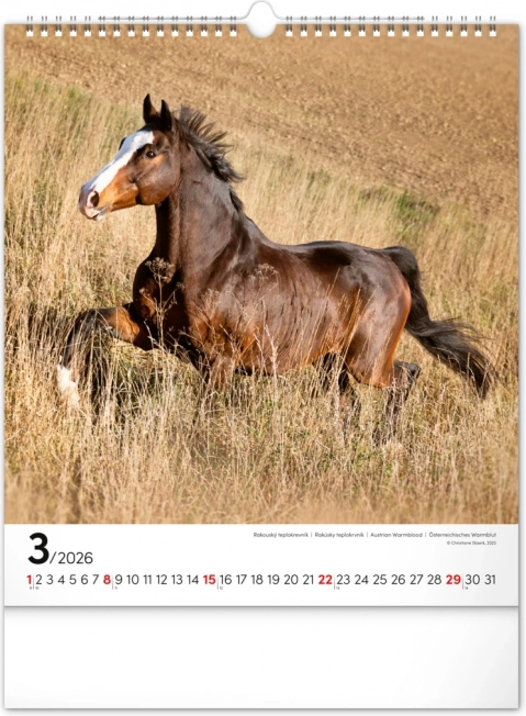Calendario da parete cavalli 2026