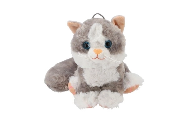 Gatto peluche seduto con suono