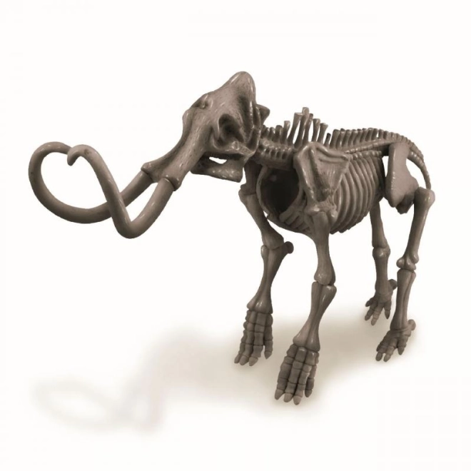 Modello assemblabile dello scheletro di mammut