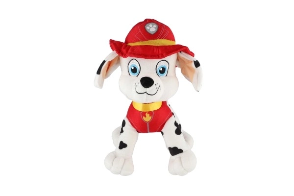 Figura della Paw Patrol Personaggio di peluche 6 tipi