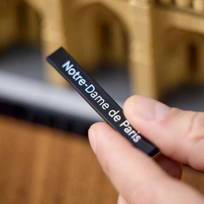 Puzzle di Notre-Dame di Parigi