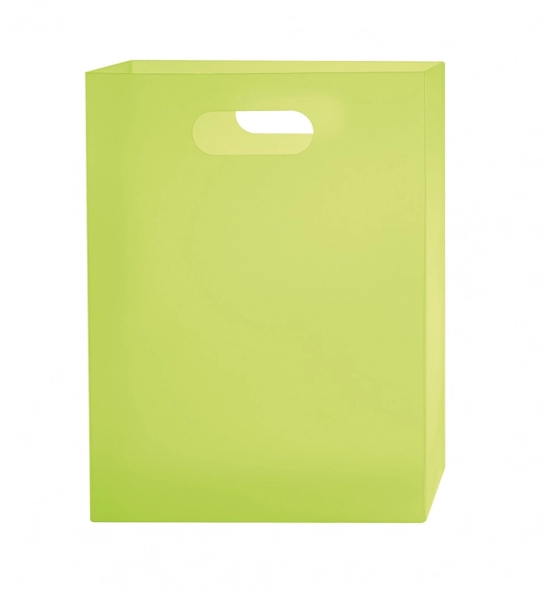 Scatola in plastica per quaderni A4 verde Opaline Frosty