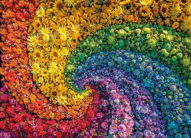 Puzzle 1000 pezzi - Collezione Colorboom