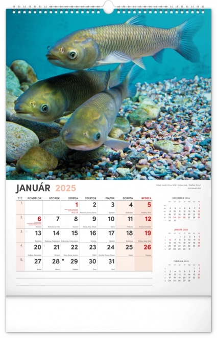 Calendario da parete Pescatore 2025