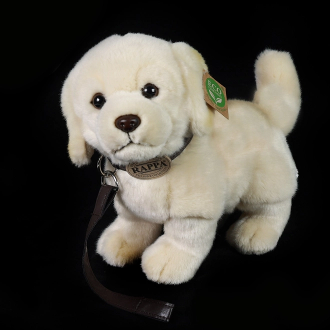 Peluche cane Golden Retriever con guinzaglio