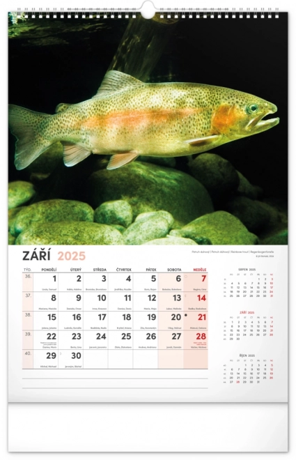 Calendario da Parete da Pesca 2025