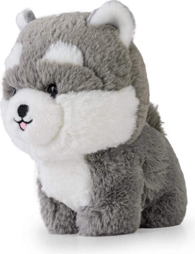 Dettagli ricamati sicuri