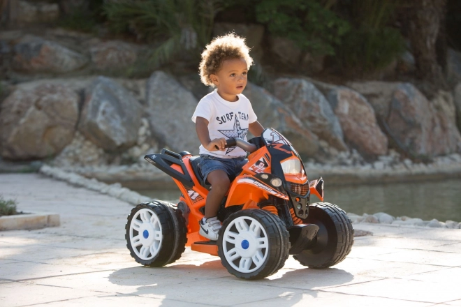 Quad Elettrico per Bambini The Beast 6V