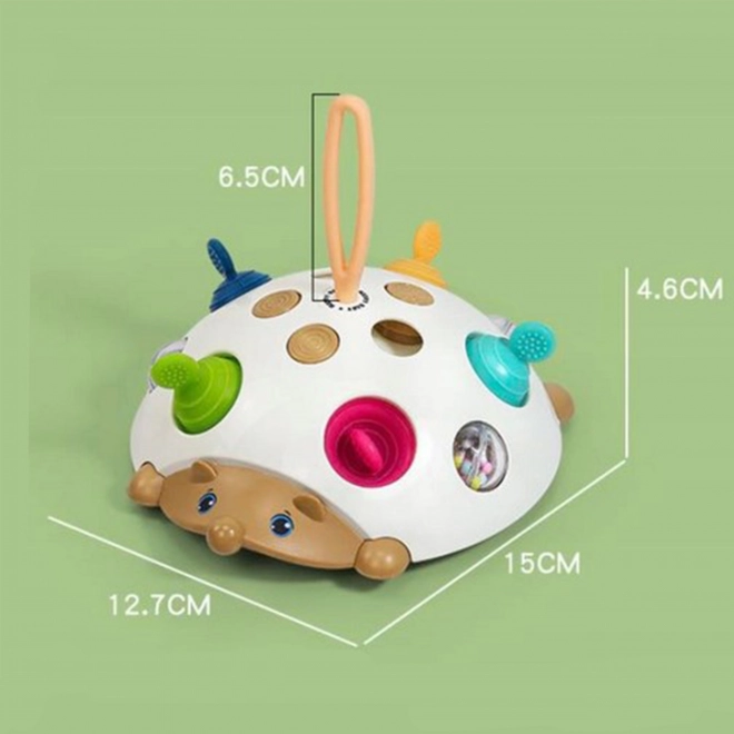 Giocattolo sensoriale riccio 4 in 1