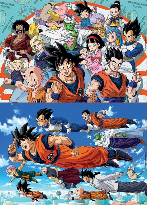 Puzzle DRAGON BALL SUPER 2x100 pezzi