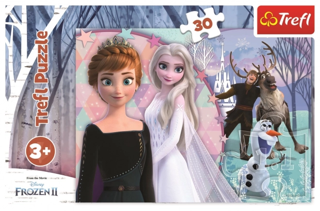 Puzzle Magico Frozen 2 30 Pezzi