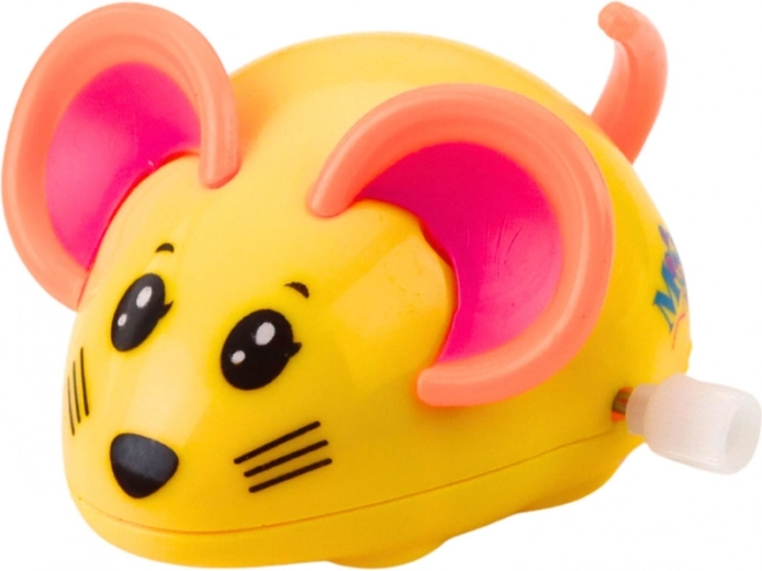 Allegro mix di colori