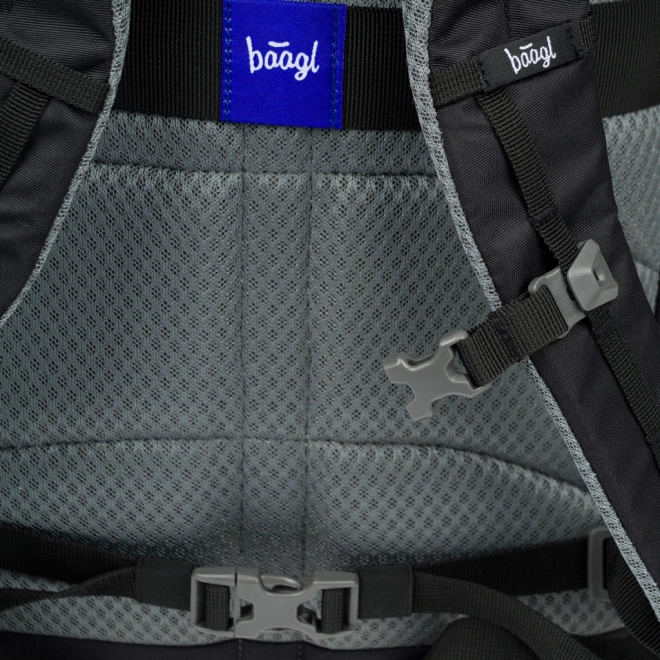 Zaino urbano BAAGL Dash Black