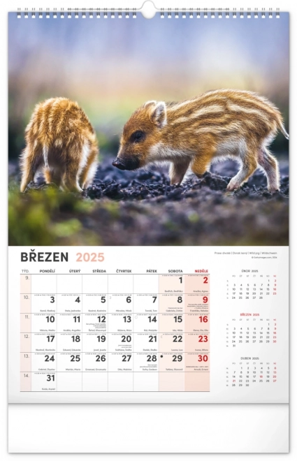 Calendario da parete 2025 cacciatore e natura ceca