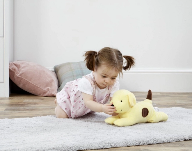 Cane Di Peluche Grande Arcobaleno