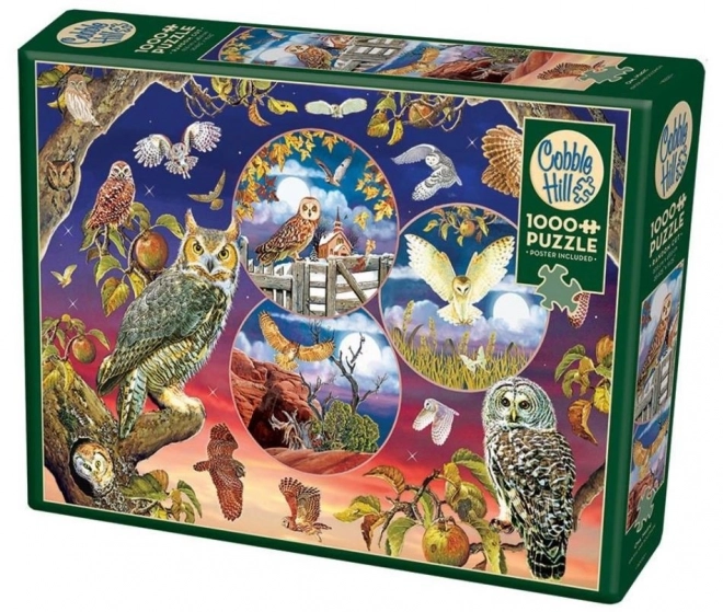 Puzzle Magia dei Gufi 1000 Pezzi