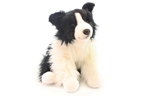 Border Collie di peluche 35 cm