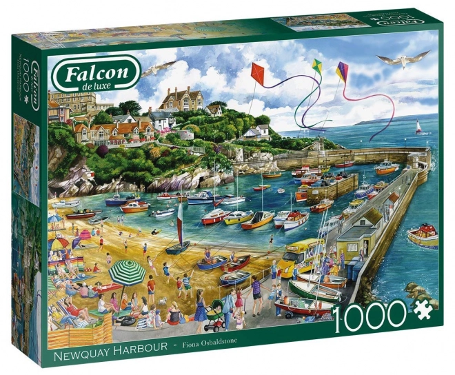 Puzzle Porto di Newquay 1000 Pezzi