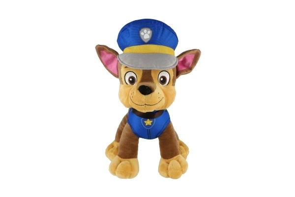 Figura della Paw Patrol Personaggio di peluche 6 tipi