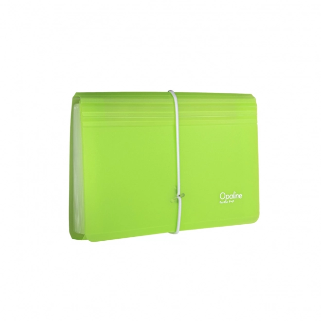 organizzatore documenti Opaline trasparente-verde