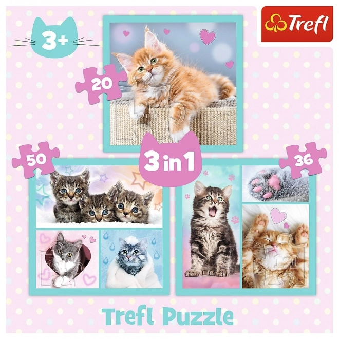 Puzzle dolci gattini