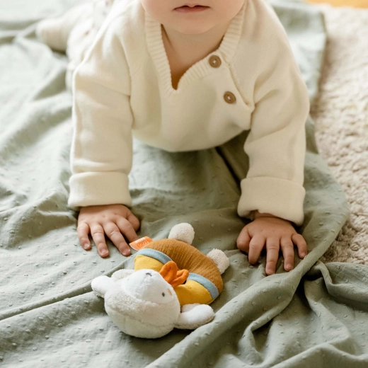 Compagno perfetto per i più piccoli