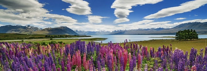 Puzzle panoramico Lago Tekapo Nuova Zelanda 1000 pezzi