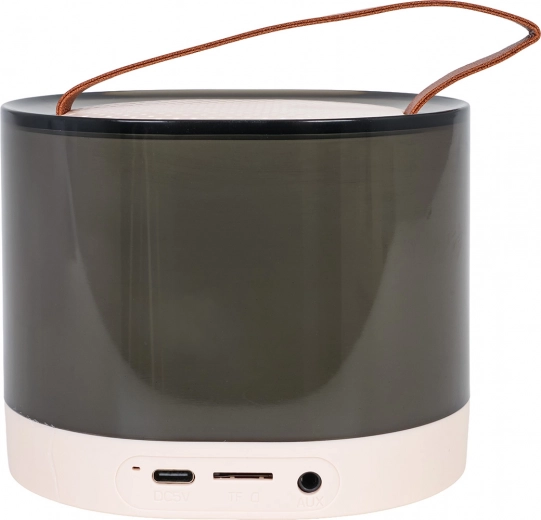 Ampia connettività e controllo semplice