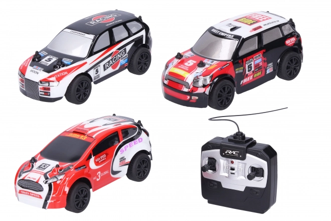 Auto radiocomandato per rally 17 cm