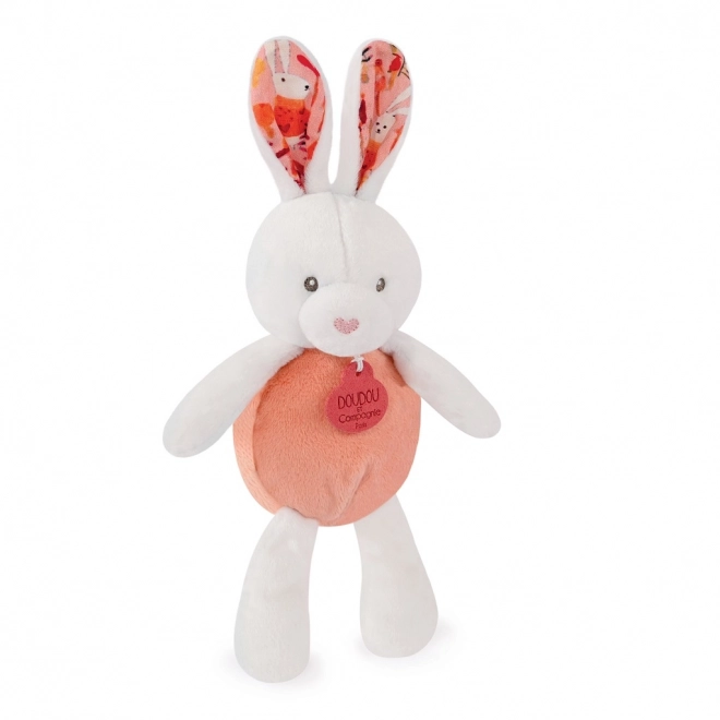 Doudou Coniglietto Pop-up 2 in 1