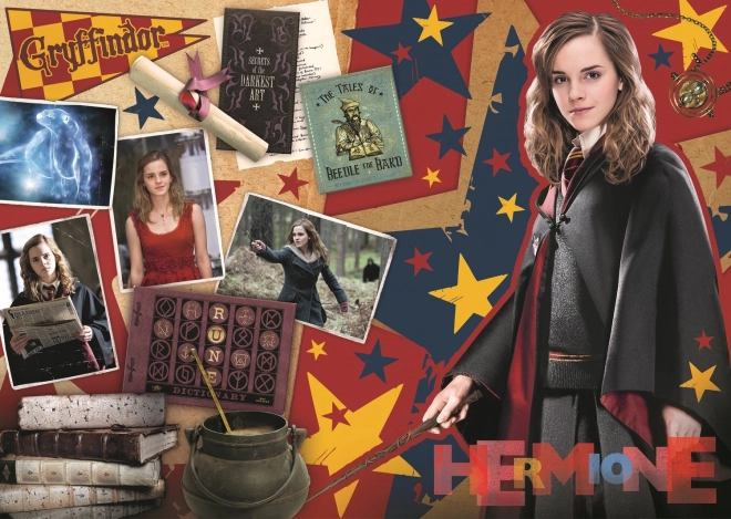 Puzzle Harry Potter: Ron, Hermione e Harry