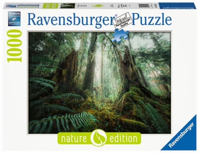 Puzzle Nel Bosco 1000 Pezzi