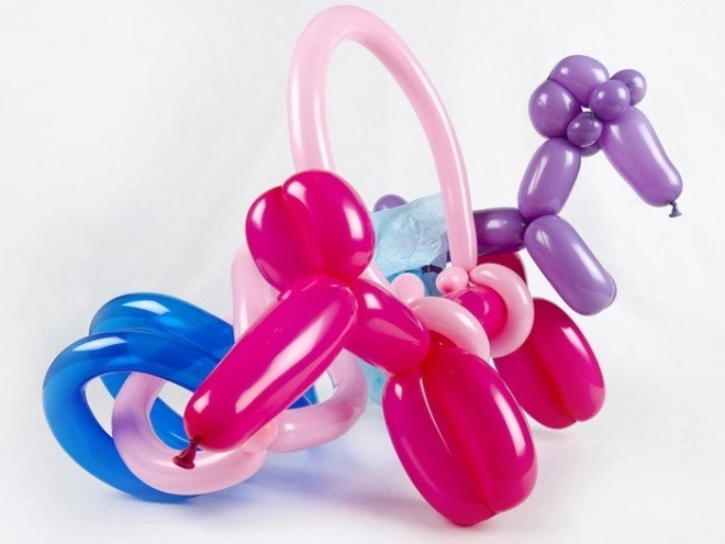 Balloon modeling kit con pompa