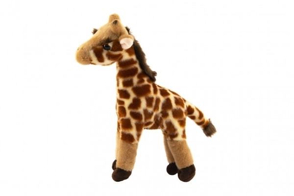 Giraffa Peluche