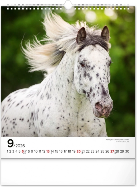 Calendario da parete cavalli 2026