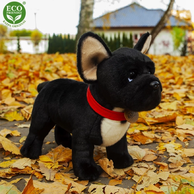 Bulldog francese di peluche con collare rosso 30 cm Ecologico