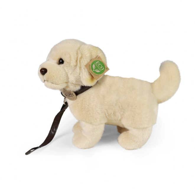 Peluche cane Golden Retriever con guinzaglio