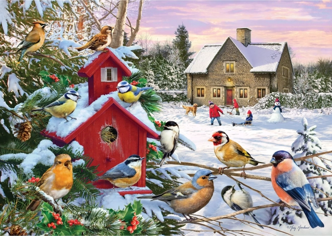 Puzzle GIBSONS Ali d'inverno 1000 pezzi