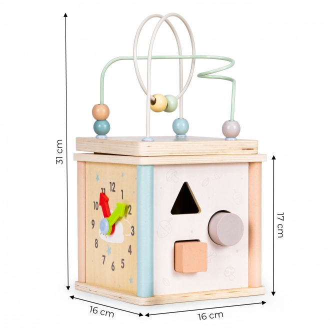 Cubo educativo in legno Ecotoys